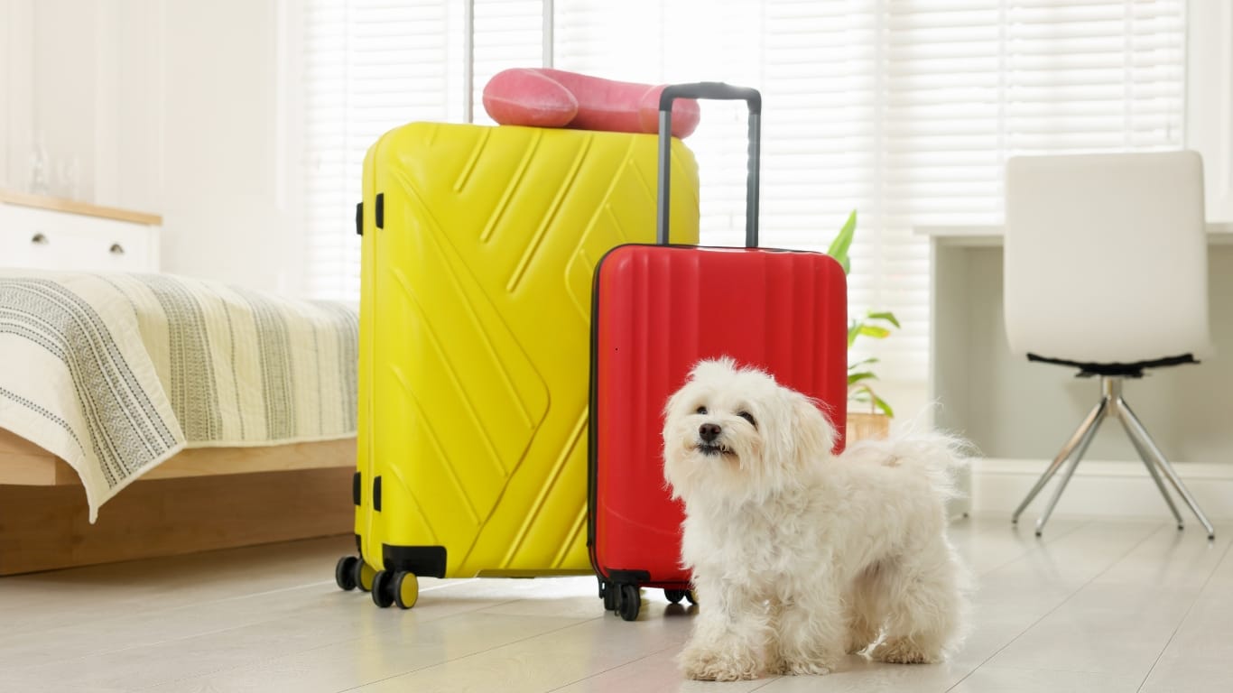 pet care travel planning